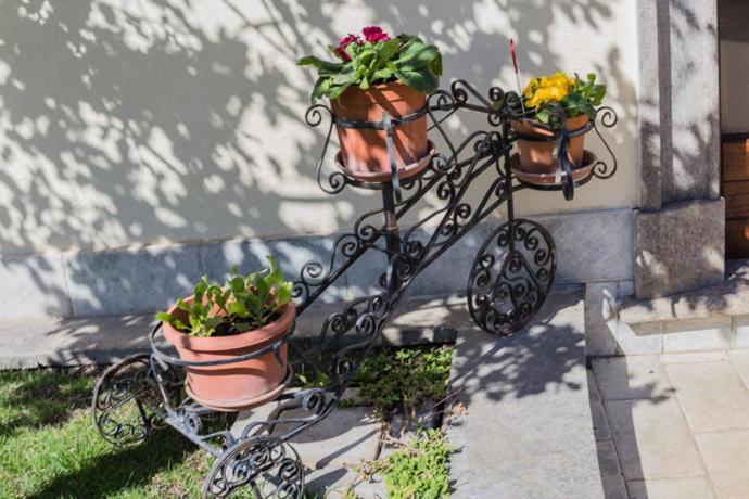 B&B Il Belvedere Витербо Экстерьер фото
